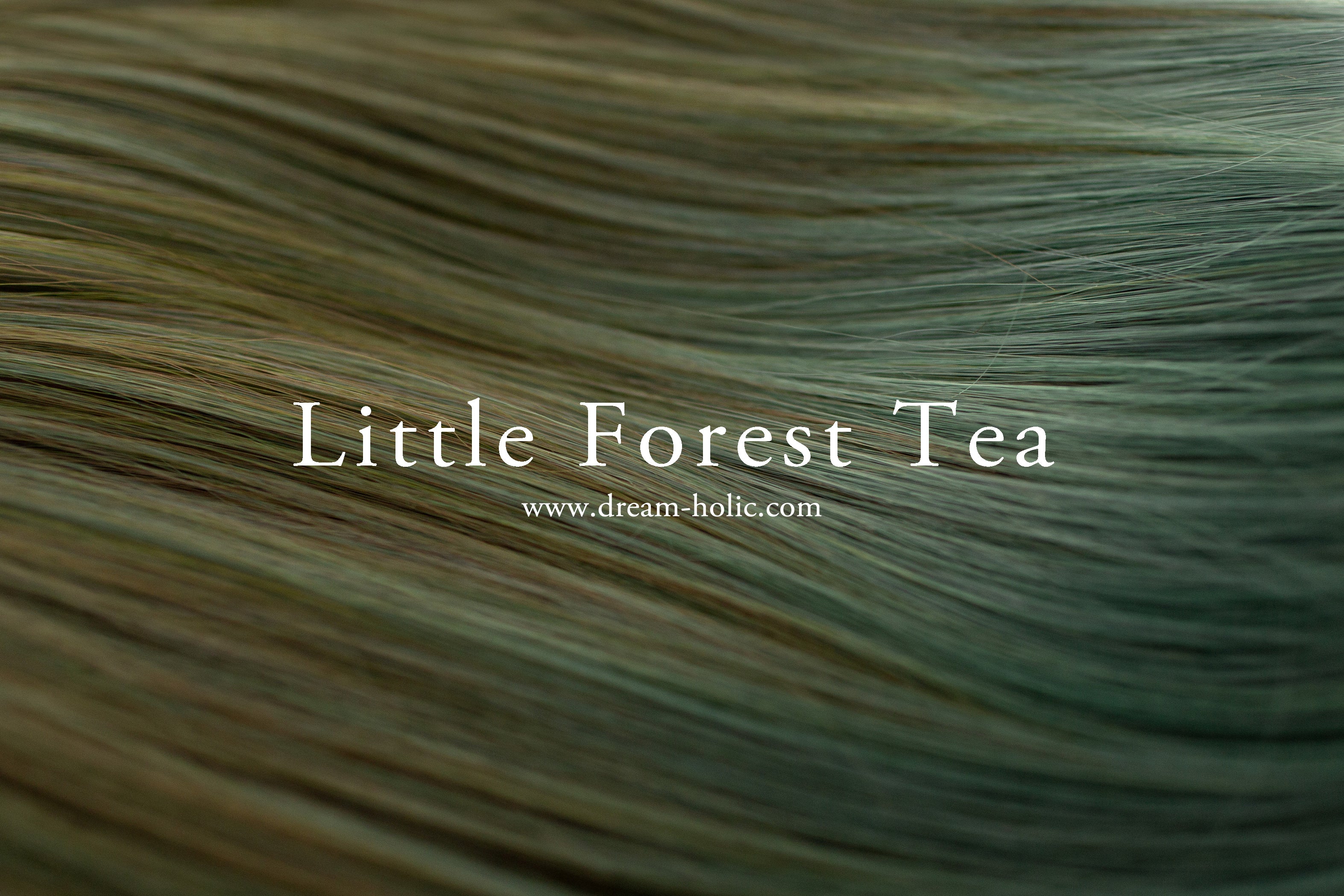 Little Forest Tea