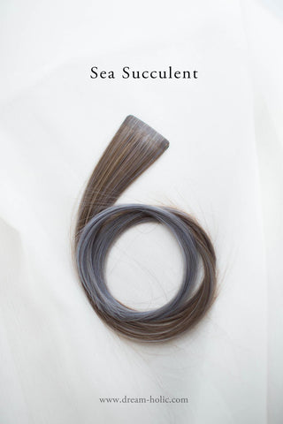 Buy sea-succulent Fantasy World ★ On Sale ★ USA